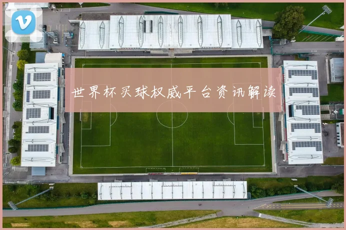 世界杯买球权威平台资讯解读