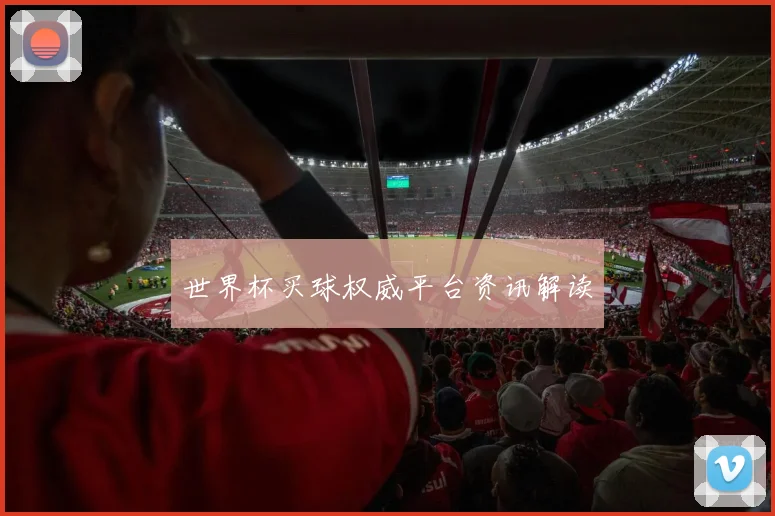 世界杯买球权威平台资讯解读
